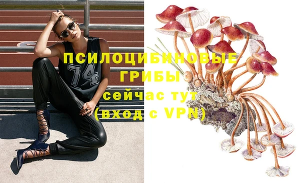 круглые Ладушкин