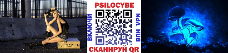 Купить закладки  Ужур  Галлюциногенные грибы прущие грибы 